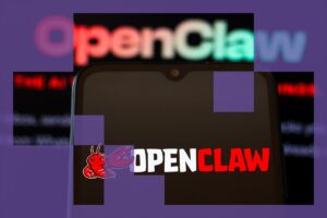 How to Make OpenClaw Work With Your Browser.