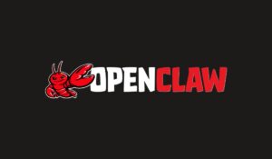 Can You Use OpenClaw With Grok.